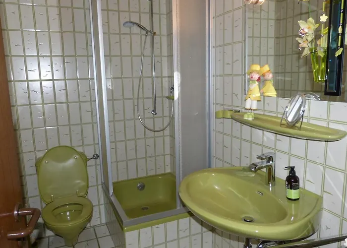 別荘 Schreiner ダウン